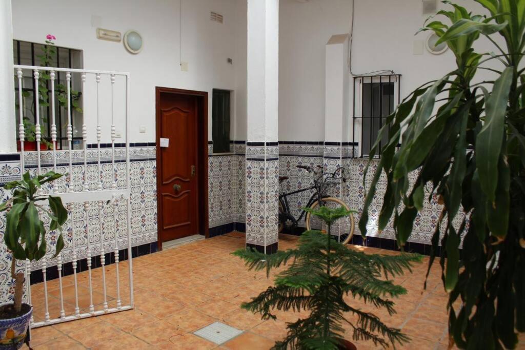 Cdz - Casa De Los Viajeros Pasquin กาดิซ ภายนอก รูปภาพ